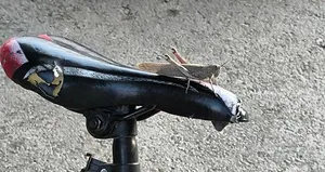 Bisiklet selesinde dev etçil...