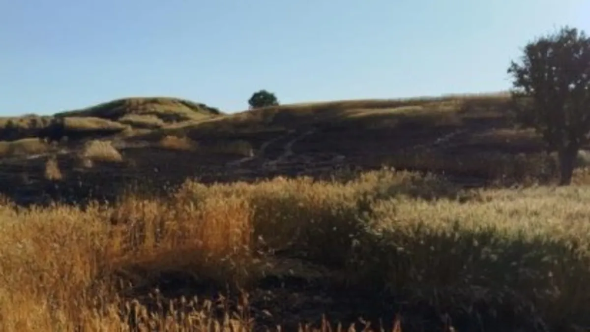 100 dönümlük tarla kül oldu! Sebebi şoke etti