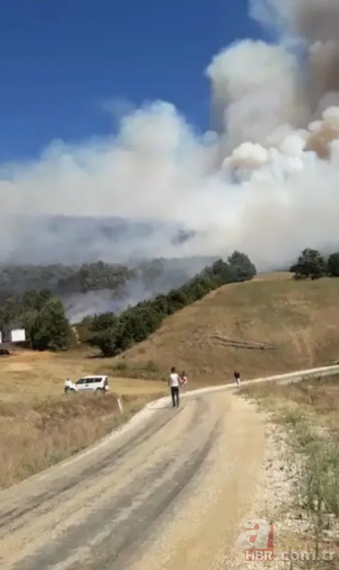 Bursa Yenişehir'de korkutan orman yangını! 3