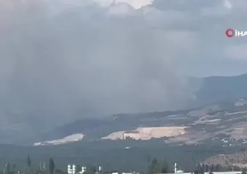 İznik'te korkutan orman yangını