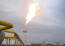 Almanya’dan flaş doğal gaz kararı