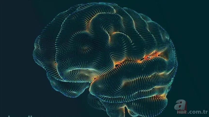 Egzersiz yetmiyor! Beyni küçülten o alışkanlık ne? Tek çözüm… 1