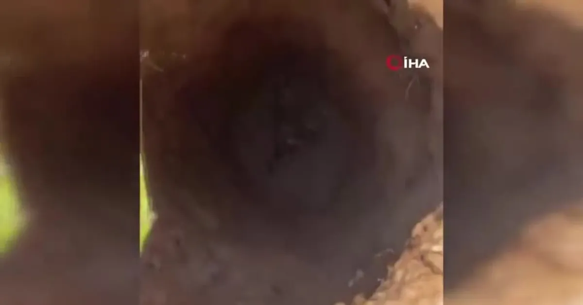 Elektrik direği açtılar! Kuyudan çıkanlar şaşırttı