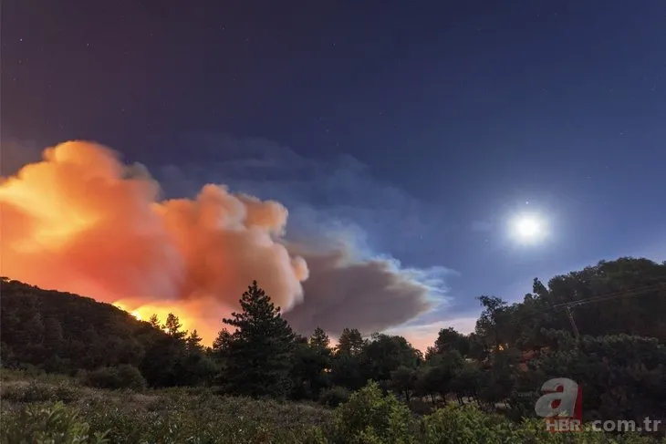 ABD’deki yangın 3 gündür devam ediyor! 20 bin dönüm ormanlık alan küle döndü