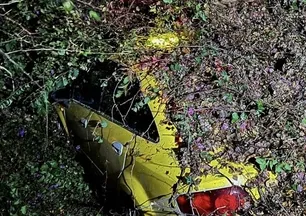 Mersin'de korkunç olay! Ağaç taksinin üzerine devrildi