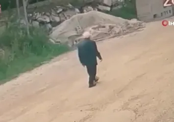 Yayla yolunda kayboldu gece boyunca devam eden aramalar sürüyor