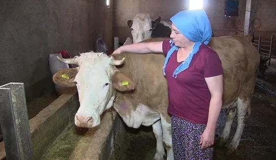 kredi-destegiyle-basladi-hayati-degisti-taleplere-yetisemiyor-1634291546059.jpg Kredi desteğiyle başladı hayatı değişti! Taleplere yetişemiyor - 3