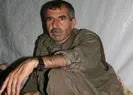 PKK’da muhbir avı başladı