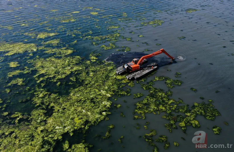 CHP'li Tunç Soyer'in "Yüzülebilir hale gelecek" dediği İzmir Körfezi çevre felaketi uyarısı veriyor 21