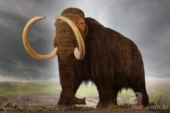 Hayat kurtaran teknolojik ipuçları! Kimse bu işe yaradığını bilmiyordu... 20