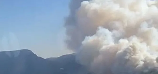İzmir Menderes'te orman yangını