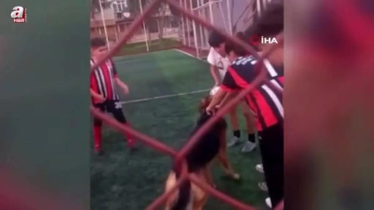 Halı sahada öğrencilerin topunu köpeğin kaçırması gülümsetti