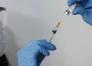 Yerli aşı TURKOVACı kimler yaptırabilir?