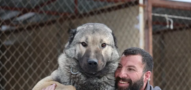Kangallar sıcakta yaşayabilir mi?