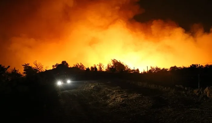 Milas'ta çıkan yangına müdahale sürüyor.