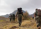 Son dakika: PKKda çözülme sürüyor! İki terörist daha teslim oldu