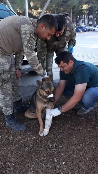 Milli Savunma Bakanlığı açıkladı: 988 EYP ve 442 mayın yok edildi