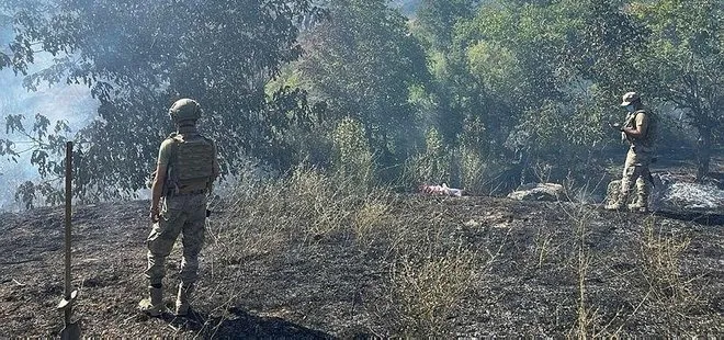 Tunceli’de ormanlık alanda çıkan yangın kontrol altına alındı!