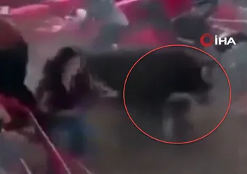 Yarışmada facia! Seyirciler dehşeti yaşadı