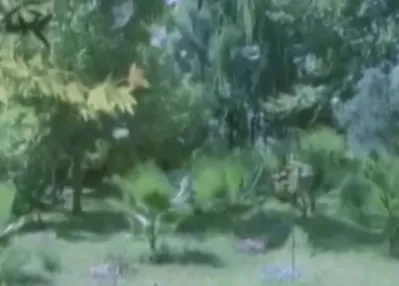 ’’Dağlar seni delik delik delerim’’