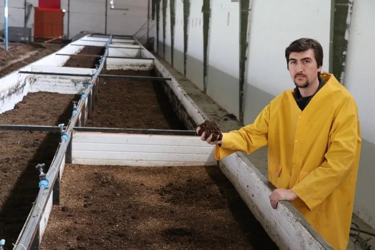 Solucan gübresi üreticiliği için memurluğu bıraktı! Kazandığı para dudak uçuklattı