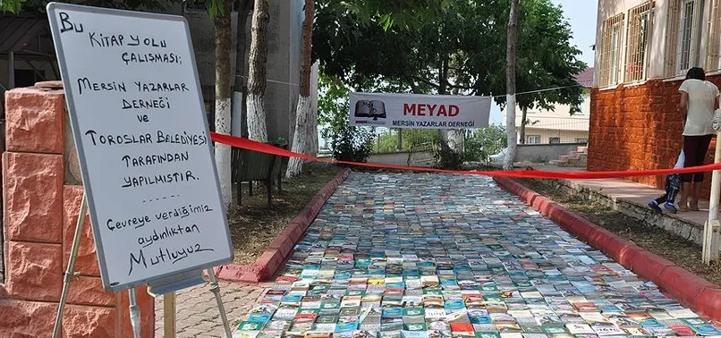 Yoldan kitap topladılar
