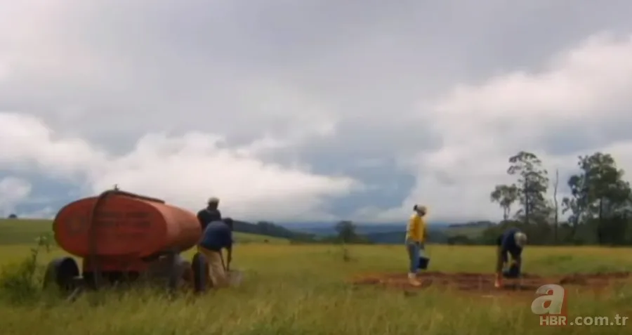 Karınca yuvasından sanat eseri çıktı 🐜 Vahşi doğanın usta mimarları! Otoban, yan yol ve patika bile yapmışlar 6