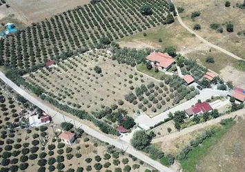 Fatih Portakal'ın kaçak çiftliği