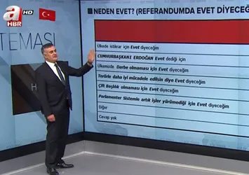 Seçmen referanduma neden evet diyor?
