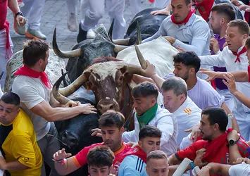 İspanya'da boğa koşusu: Çok sayıda yaralı