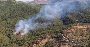 Milas’ta orman yangını!