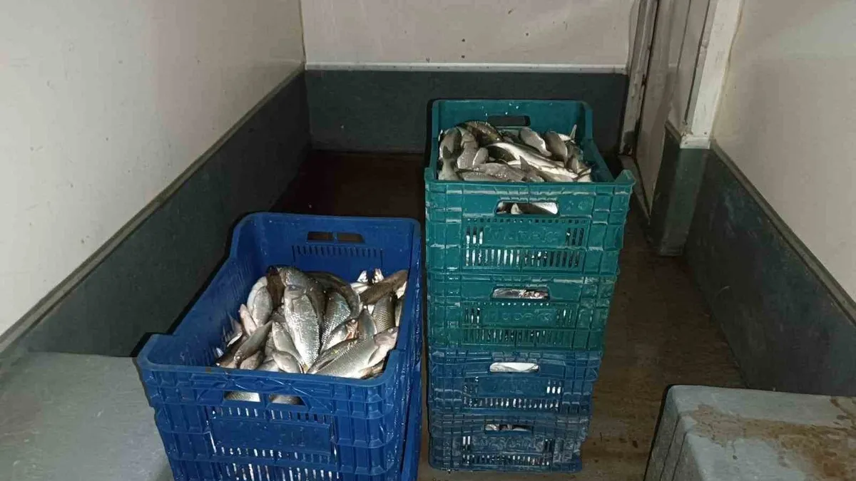 İznik Gölü'nde kaçak avcılık yapan 13 kişi yakalandı