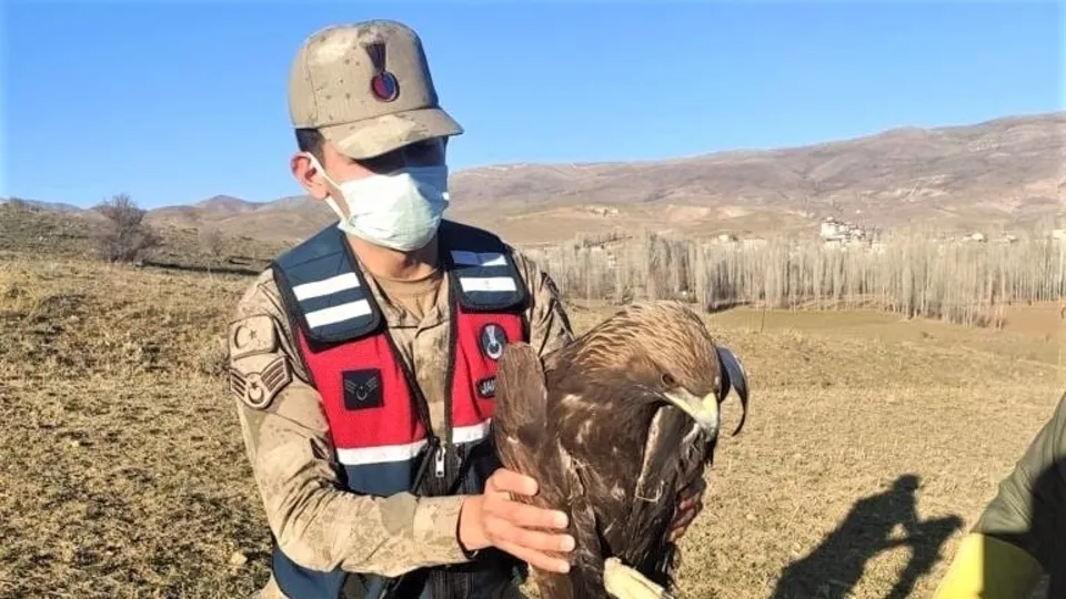Mehmetçik şefkat elini uzattı