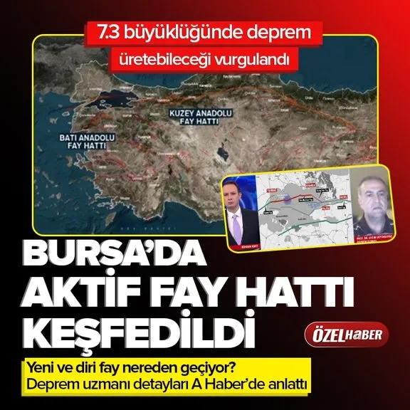 Türkiye’nin diri fay haritası güncellendi! Uzmanlar Bursa’da yeni ve diri fay hattı keşfetti! Uzunluğu 90 kilometre olası deprem de büyüklüğü 7.3