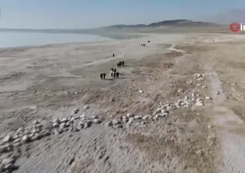 Arin Gölü alarm veriyor: Beş yıl içinde tamamen kuruyabilir