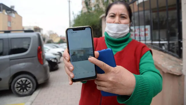 Mersin'de dehşete düşüren olay! 15 kedi zehirlenerek telef edildi - 3