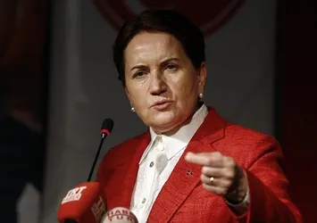 Meral Akşener'in finansörü kim?