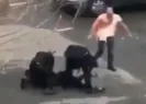 Bütün dünya bu görüntüyü konuşuyor!