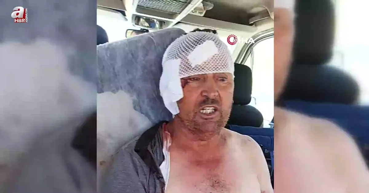 Aslanın saldırısına uğrayan çiftçi o anları anlattı: Biraz güçlü olmasaydım şu anda bende belki de yoktum