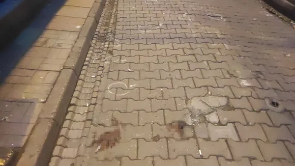 kocaelide-sokak-ortasinda-cinayet-defalarca-ates-etti-1666160351200.jpg Kocaeli’de sokak ortasında cinayet! Defalarca ateş etti - 4