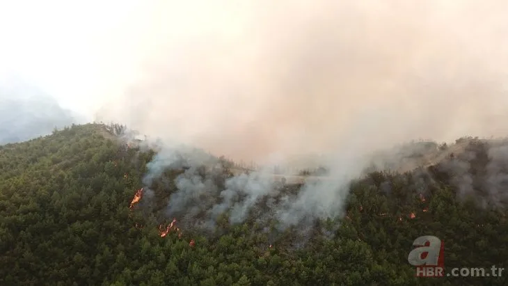 Hatay Samandağı’nda korkutan orman yangını | A Haber muhabiri son durumu aktardı