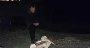 Gören telefona sarıldı! Dünyaca ünlü sahilde...