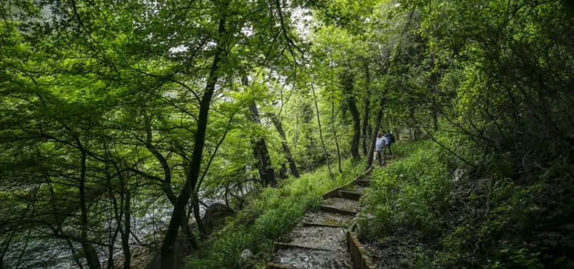 Tarım ve Orman Bakanlığı duyurdu! 3,2 milyon hektar alana "özel statülü" koruma