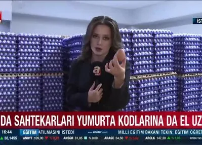 Yumurtaların kodları ne anlama geliyor?