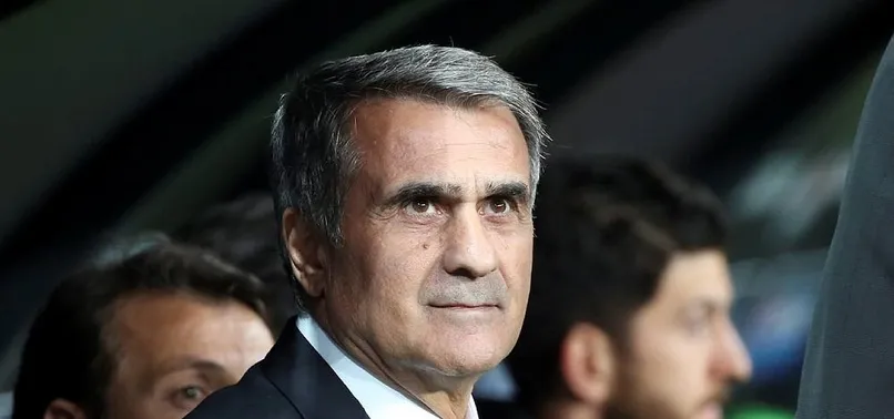 Şenol Güneş'ten flaş Milli Takım sözleri!