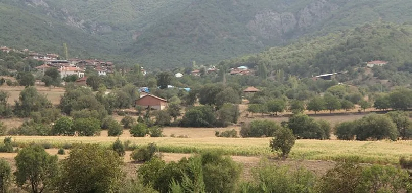 Çorum Mecitözü'nde kuduz vakası büyük panik yarattı!