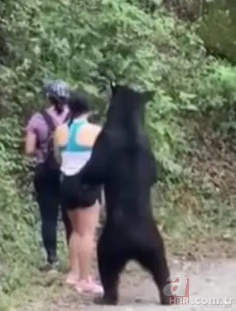 Görüntüler Erzurum’dan… Ayı çobana saldırdı! ‘Ayının altından kurtuldum ve…’🐻