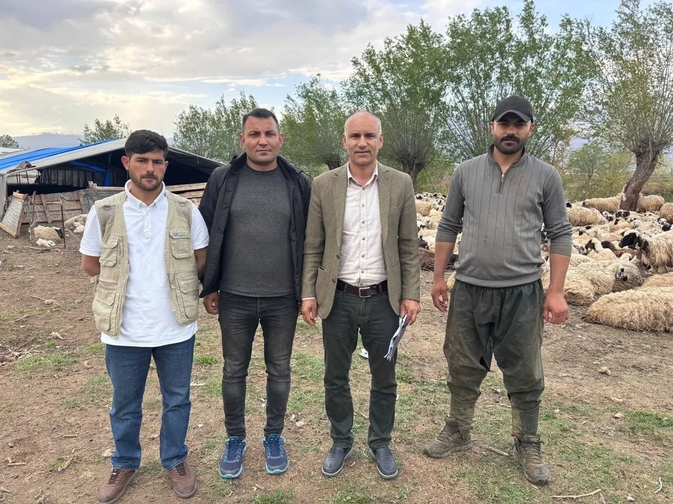 Bakanlık destek verdi! Afgan çobanlar Erzincan’da göreve başladı - 7