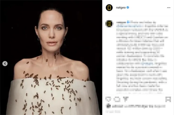 Angelina Jolie arılarla kameralar karşısına geçti! 18 dakika boyunca…