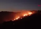 Afyonkarahisarda orman yangını!